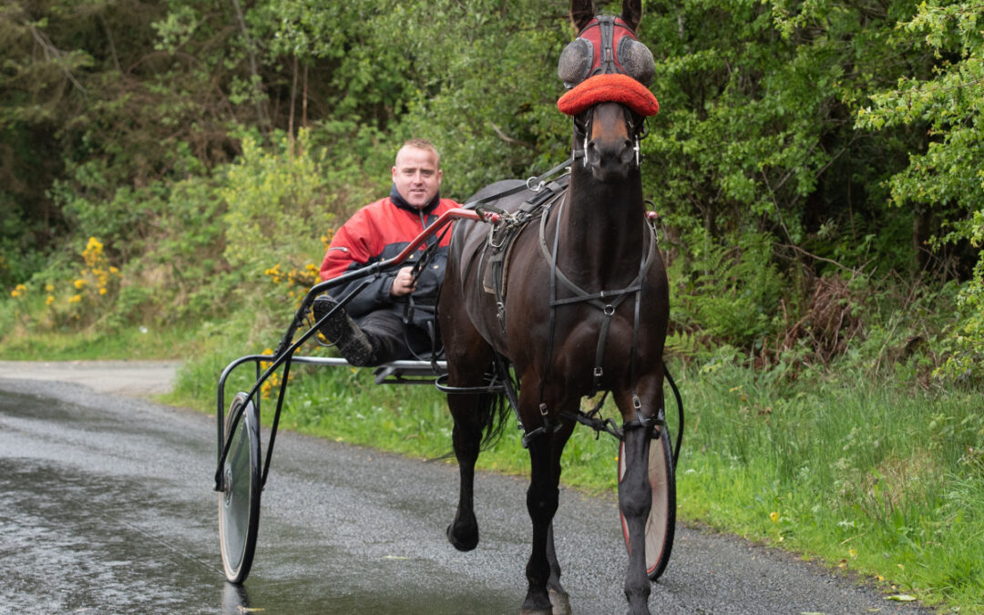 Who are Travellers in Irish Society
